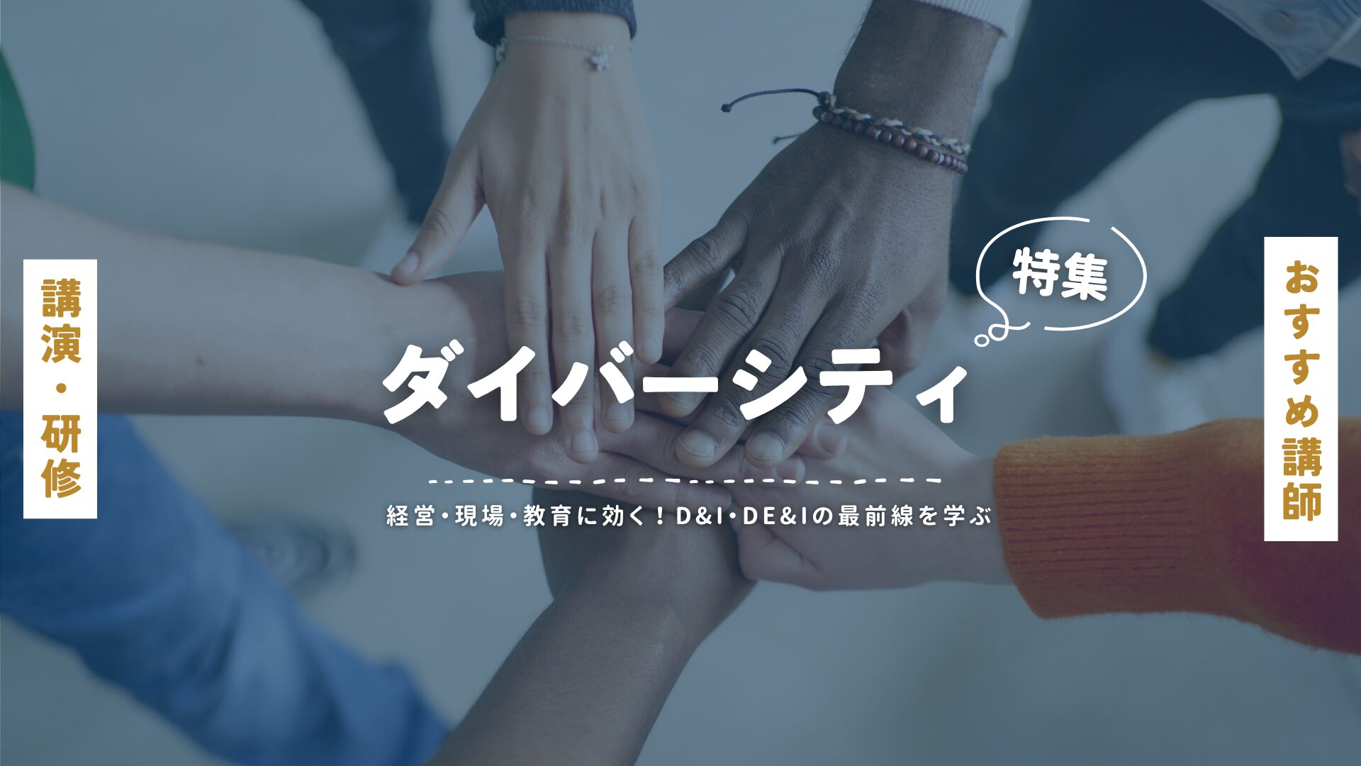 ダイバーシティ(大)